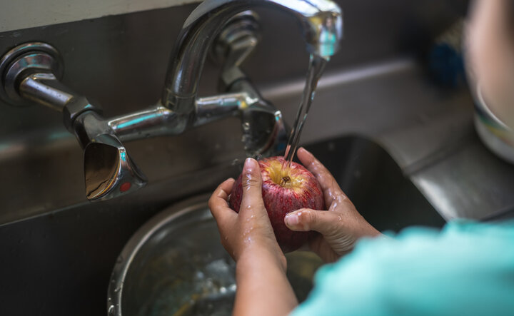 Image of a boy washing an apple. Text to the side is about how to save water around the home.